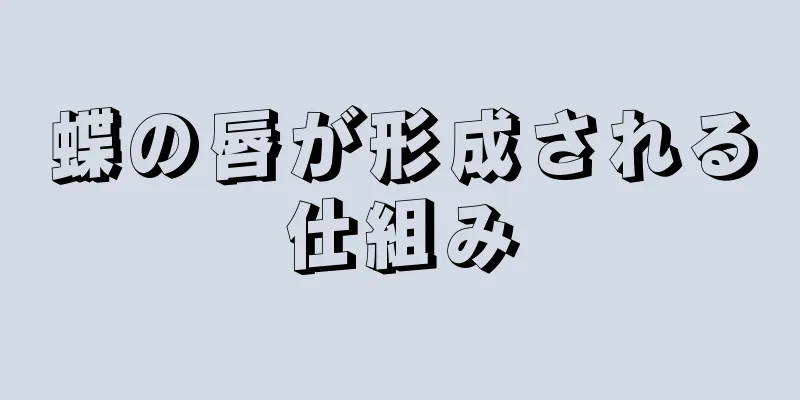 蝶の唇が形成される仕組み