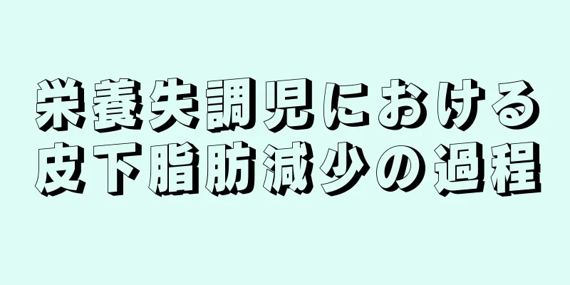 栄養失調児における皮下脂肪減少の過程