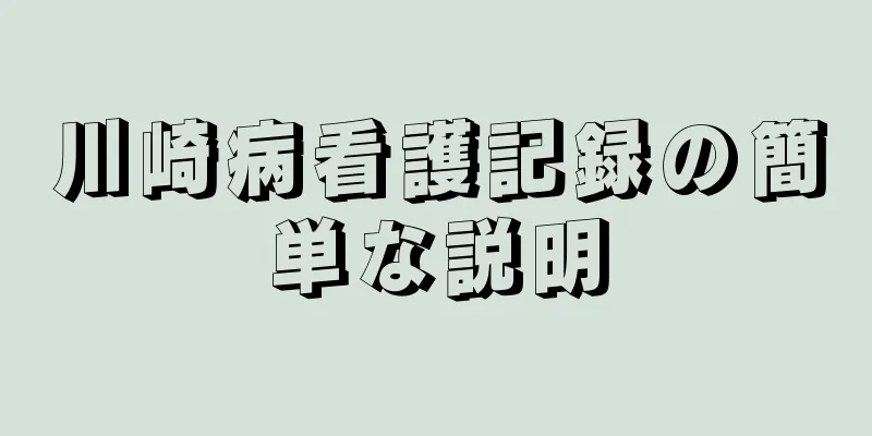 川崎病看護記録の簡単な説明