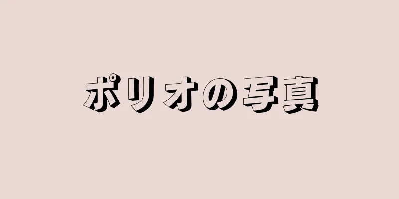 ポリオの写真